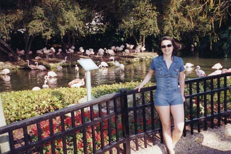 AlinaWithFlamingosAtSeaworld_200403