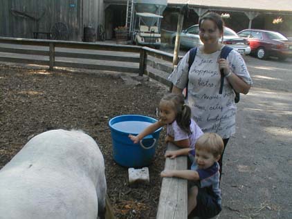 Mihaela Sydney and Avyn at Arabian Knights Farm