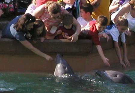 Florida2004_DE_AlinaFeedingDolphinAtSeaworld