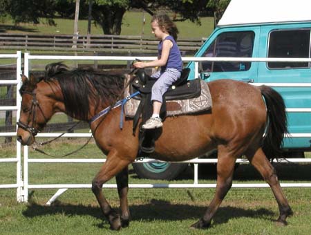 Florida2004_EB_SydneyRidingHorse